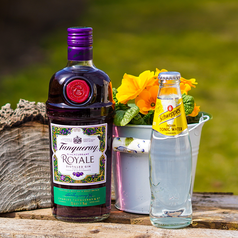 Tanqueray Blackcurrant Royale 41.3% 0,7l
