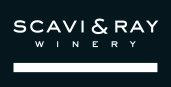 SCAVi & RAY