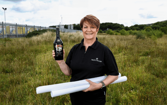 Diageo baut die Produktionsstätte von Baileys aus
